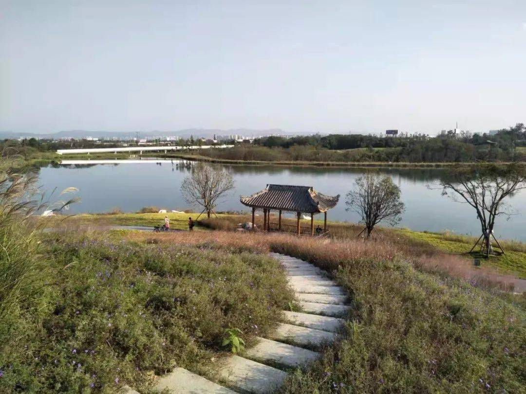 绿道科普|青龙湖湿地公园二期正式开放啦!