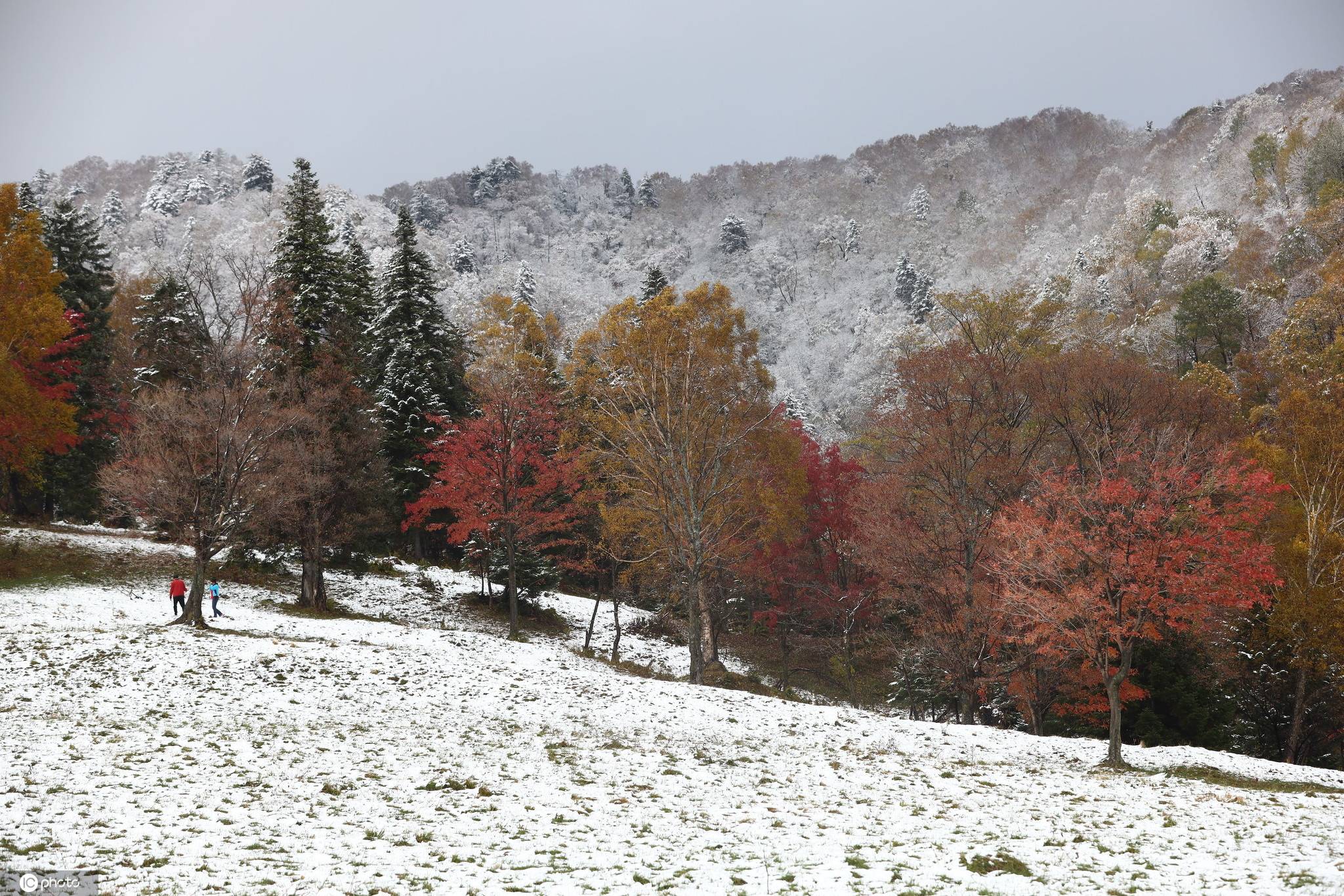 在秋天看雪景多地迎来2020年的第一场雪