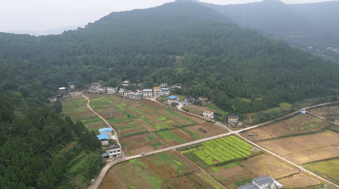 大佳何村人口_大佳何团联村(3)