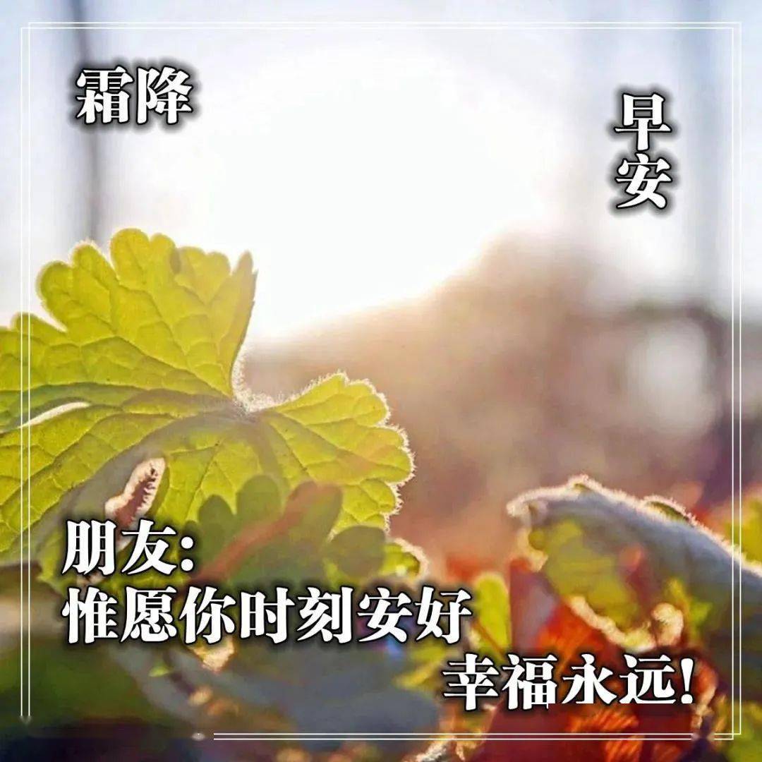 最美霜降早上好问候语阳光句子,早上好祝福语带图