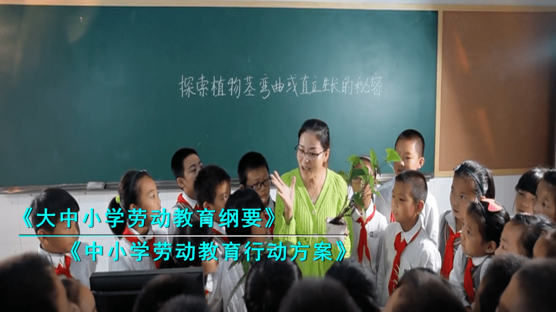 gdp初级教学视频_初级会计证书图片(3)