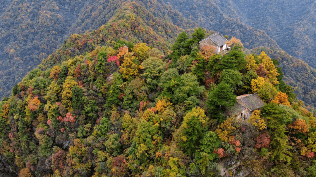 或许就是你正在追寻的秋色 展开剩余 81 秦岭里的秋天 五彩