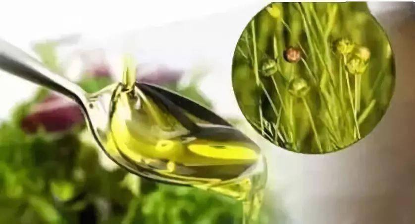 怎么样选择正确的亚麻籽油 ca3b63a6616d43ea9870e6ca993a8319.jpeg