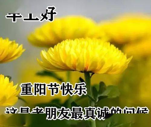 10月24日重阳节最漂亮早上好动态表情图片大全,早晨好