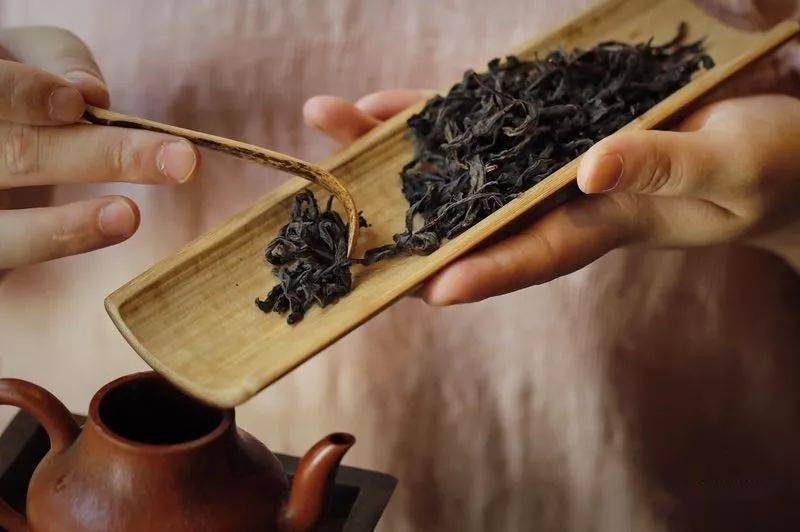 陈茶|生活 | 怎样选择适合自己状态的茶
