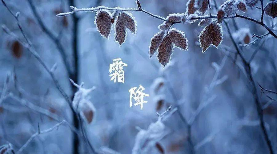 霜降|用地道英语口语说中国传统文化