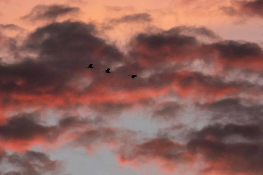 评估|为何你渴望拥抱又害怕失去？