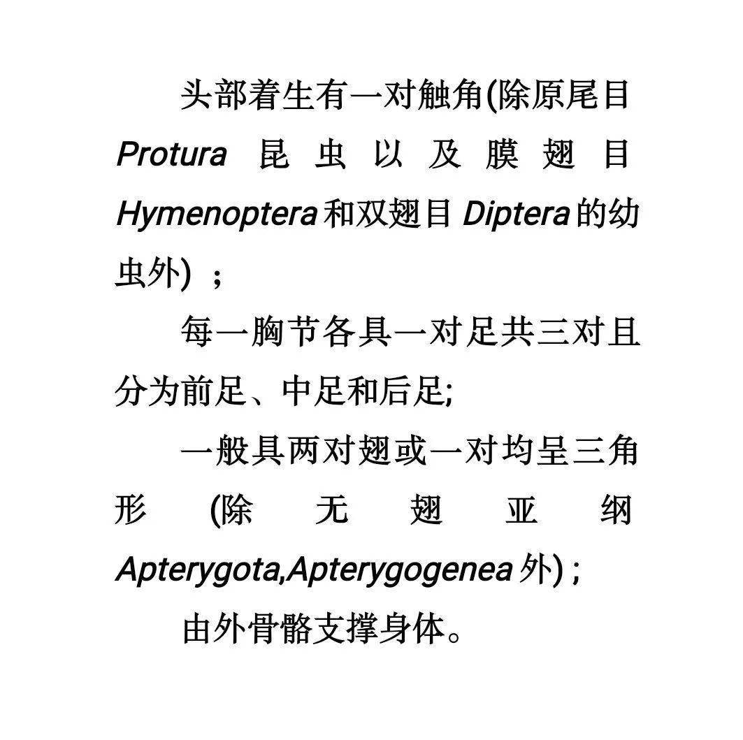 一虫二是什么成语_这是什么成语看图(3)