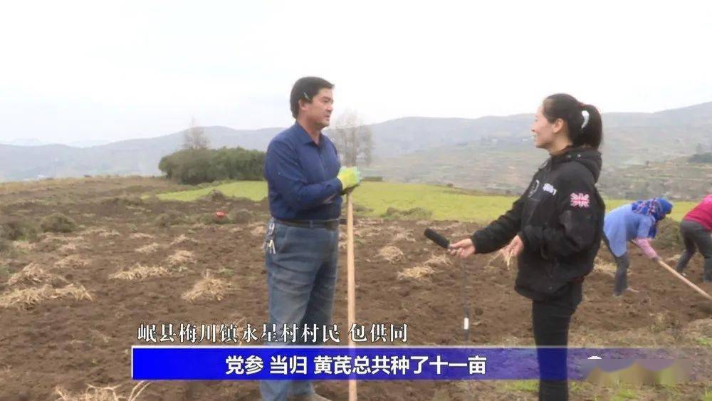 岷县梅川镇永星村村民 包供同: 这一片都是我的.