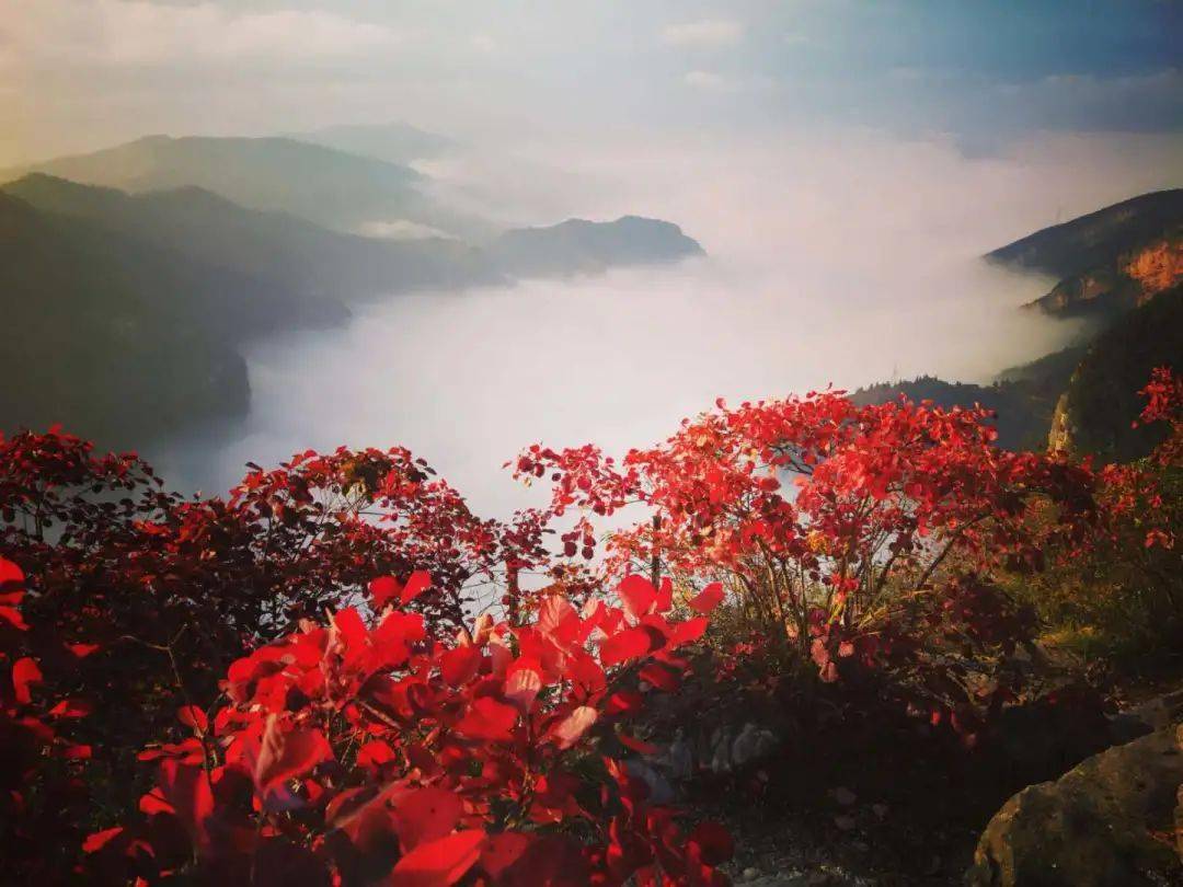 最美的红叶景区——光雾山-光雾山旅游攻略-游记-去哪儿攻略