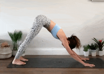 3283025fa4954db596e8a28b84d630a8.gif