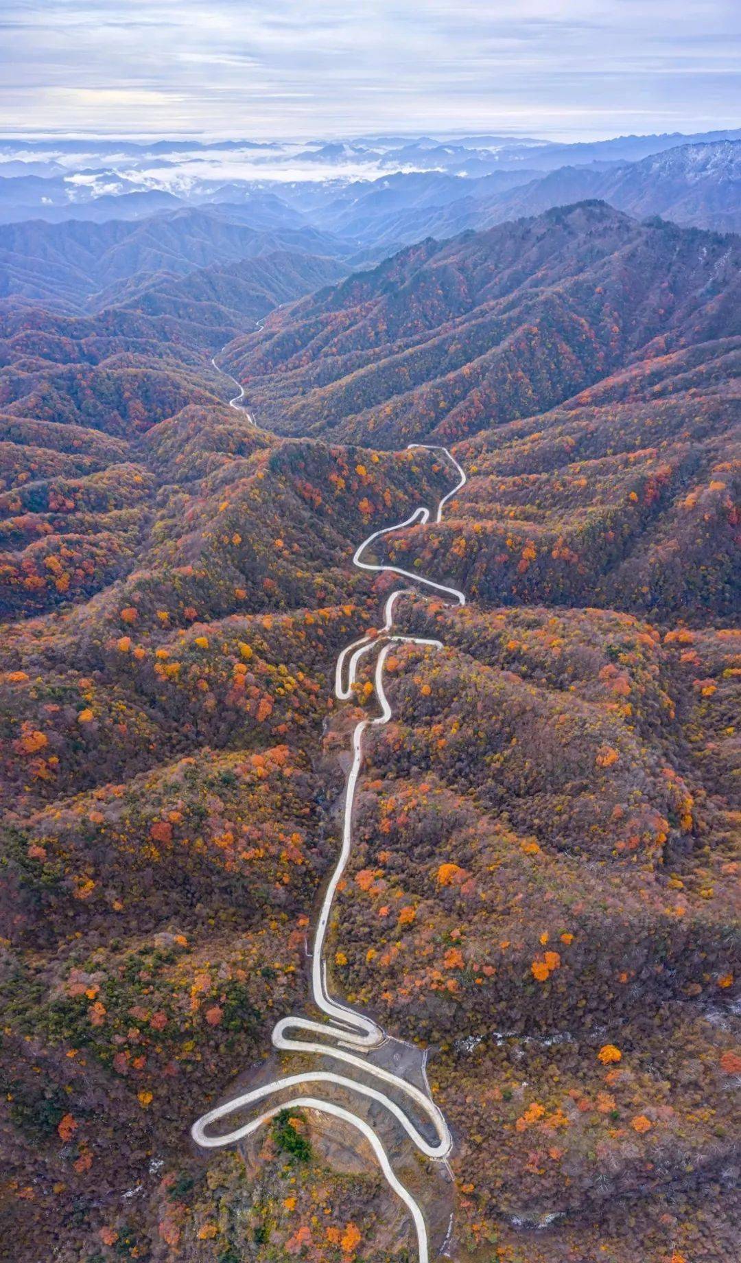 不是新疆内蒙，国内还有一处自驾天堂，秋色仅维持20多天现在去正好_留坝