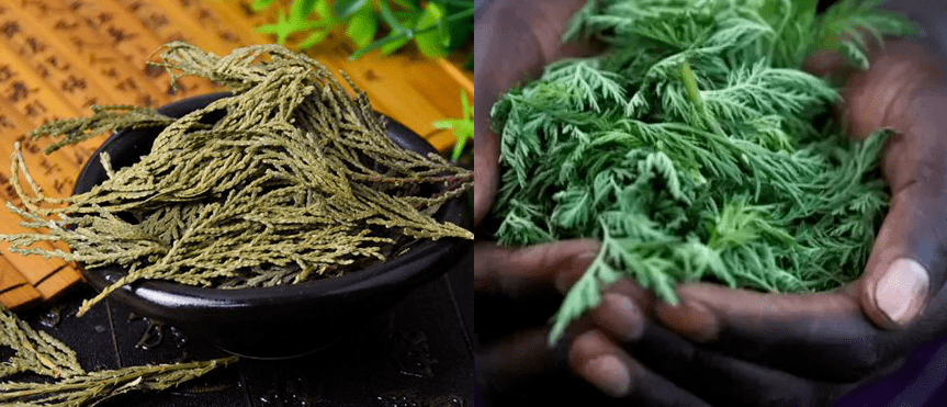 头发|洗了20几年的头，到底该洗“头皮”还是“头发”？