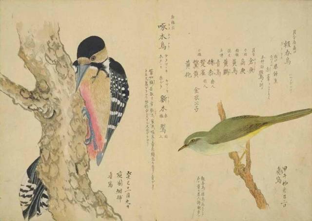 汪正华梅妃游梅园曲谱