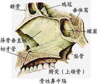 身体骨骼结构图全身 27cb2f49e237440ca342cca04788b456.jpeg