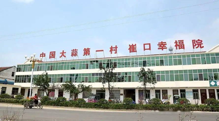 依靠着大蒜贸易,目前,崔口村村集体可以每年可得到五六百万元收益,拿
