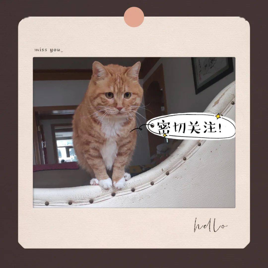 夏天|十月小结 | 这里有一份秋日温柔待查收!