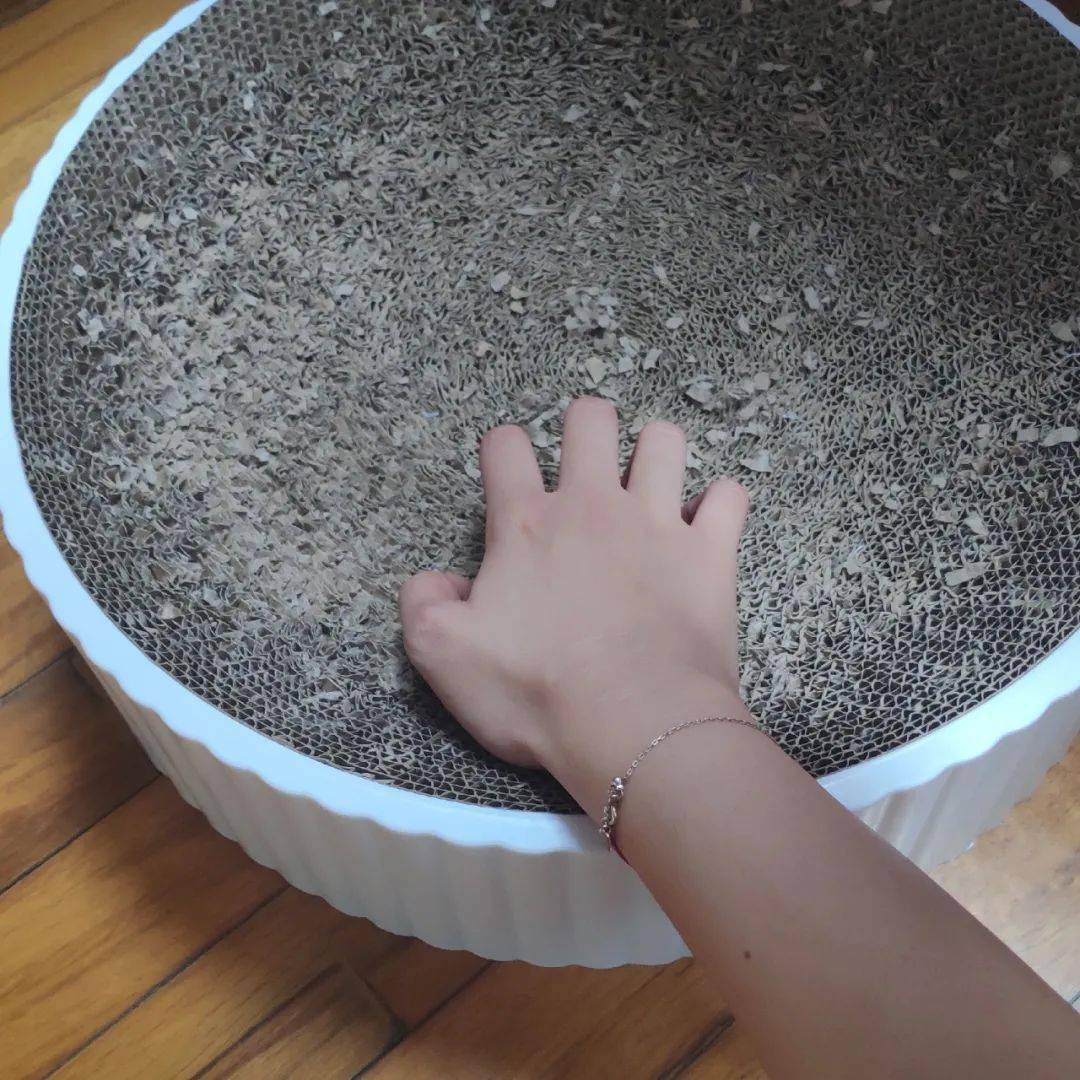 夏天|十月小结 | 这里有一份秋日温柔待查收!