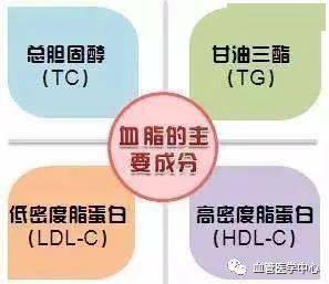 怎么控制血脂和胆固醇 a0462cca734845aa9fd9b3f1925161fd.jpeg