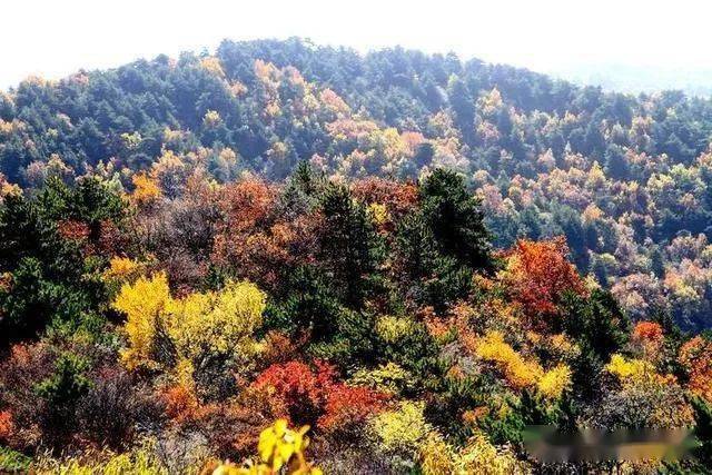 太谷县有多少人口(2)