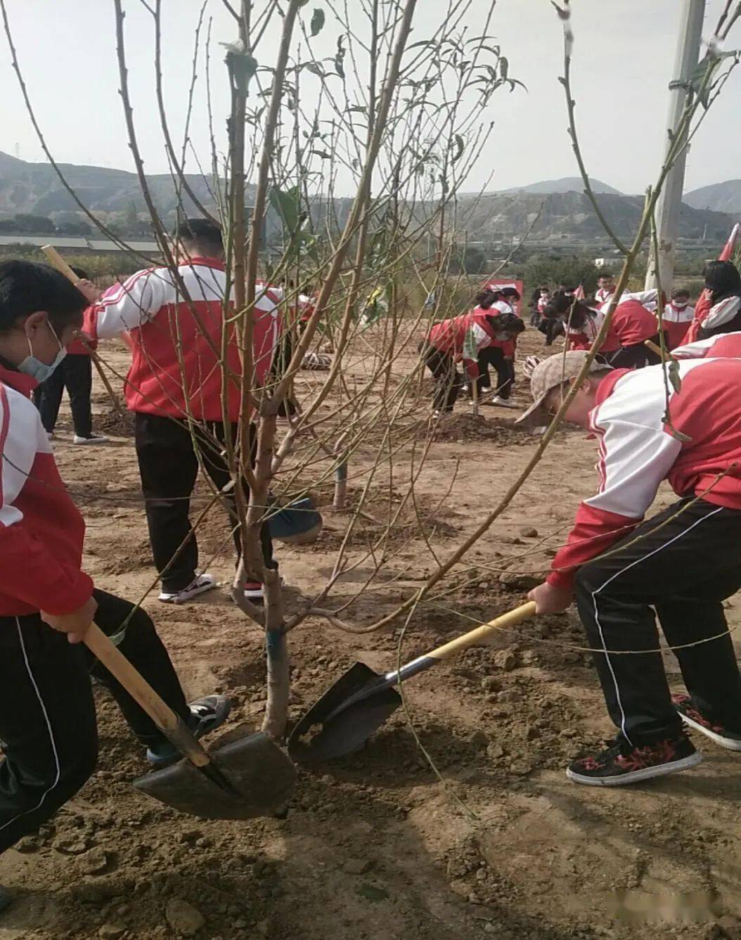 全县师生积极参加秋季义务植树造林活动