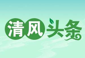 清风头条｜微信转账记录里的“猫腻”