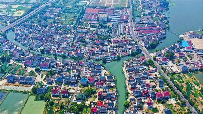 小康路上 开弦弓村的60个小花园