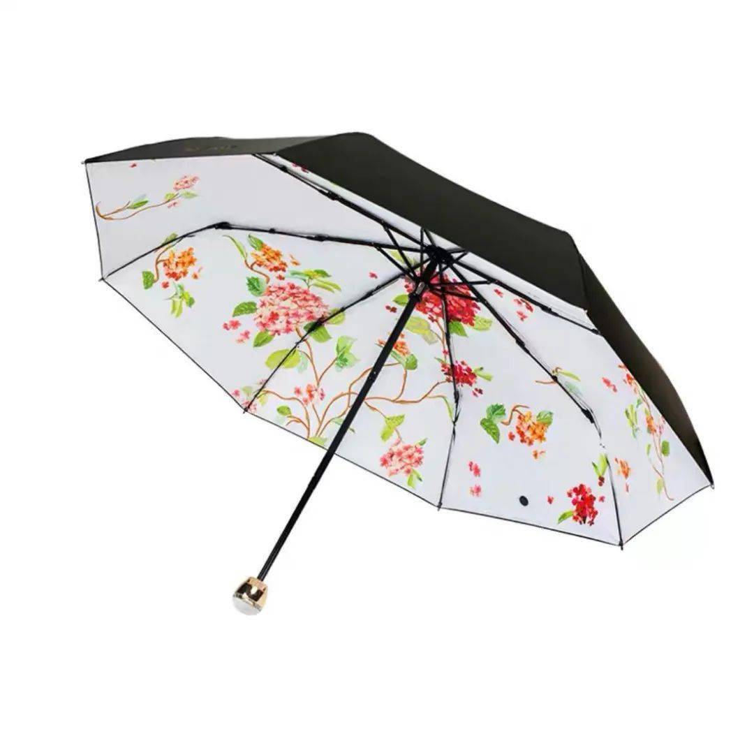 陈坤|不是吧,“不老男神”陈坤的颜值现在连李佳琦都比不过了??