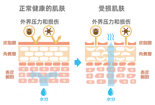 新垣结衣|说起“治愈系”，你会想到？