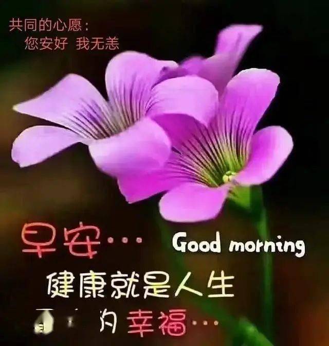 中老年早上好表情包:最新早上好特漂亮的祝福图片朋友