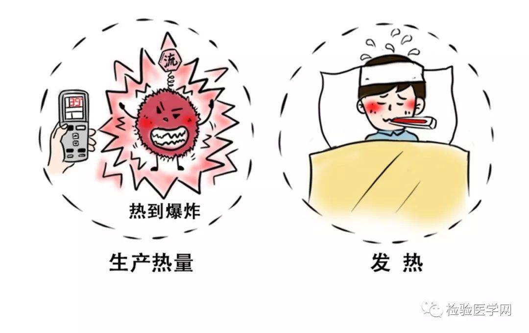 【图说】流感≠感冒!流感高发季……视频,漫画全来了!