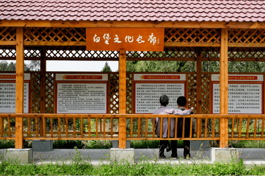 阆中市思依镇多少人口_阆中市双龙镇