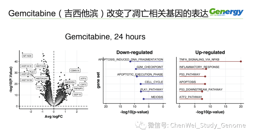 细胞疗理仪是什么原理_雾疗是什么