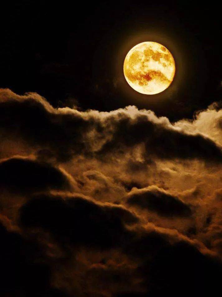 包括那些孤独和忧伤,只有月亮陪伴的晚上,心才不会彷徨.