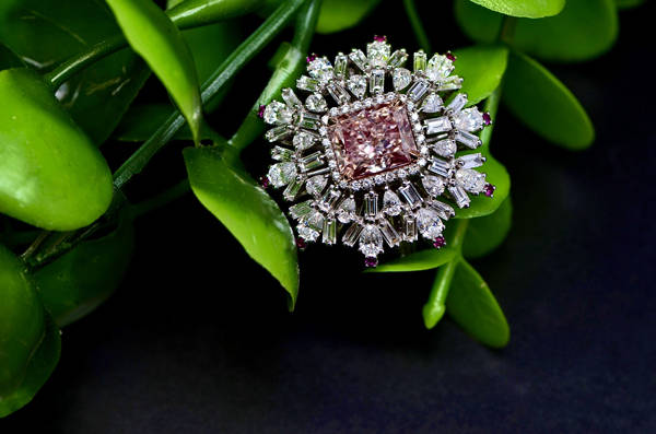 博会|克什米尔蓝宝石为何在进博会只展不售？巴基斯坦展商细说缘由