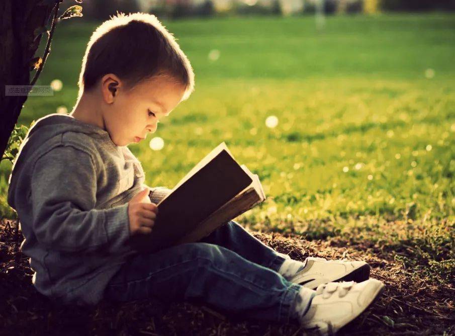 非常帮助全集观看 88f97442a42743f69af5556de0ed2546.jpeg