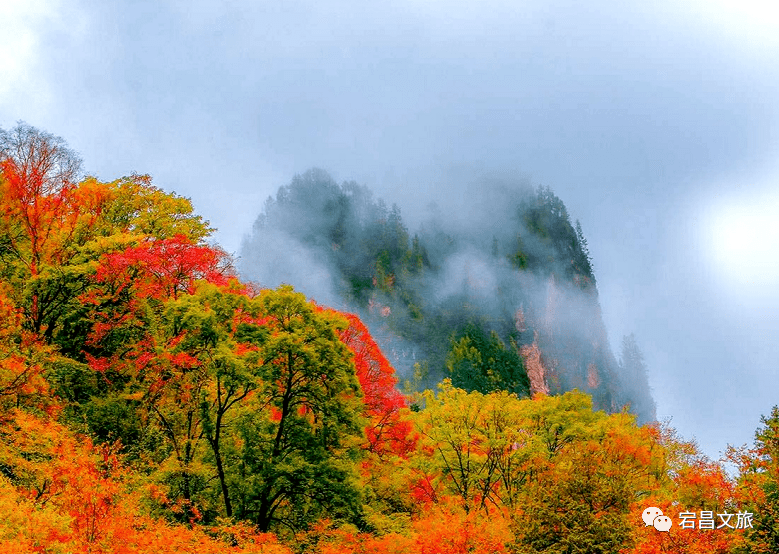 陇南风光 | 宕昌的秋天,是一段灿烂的时光