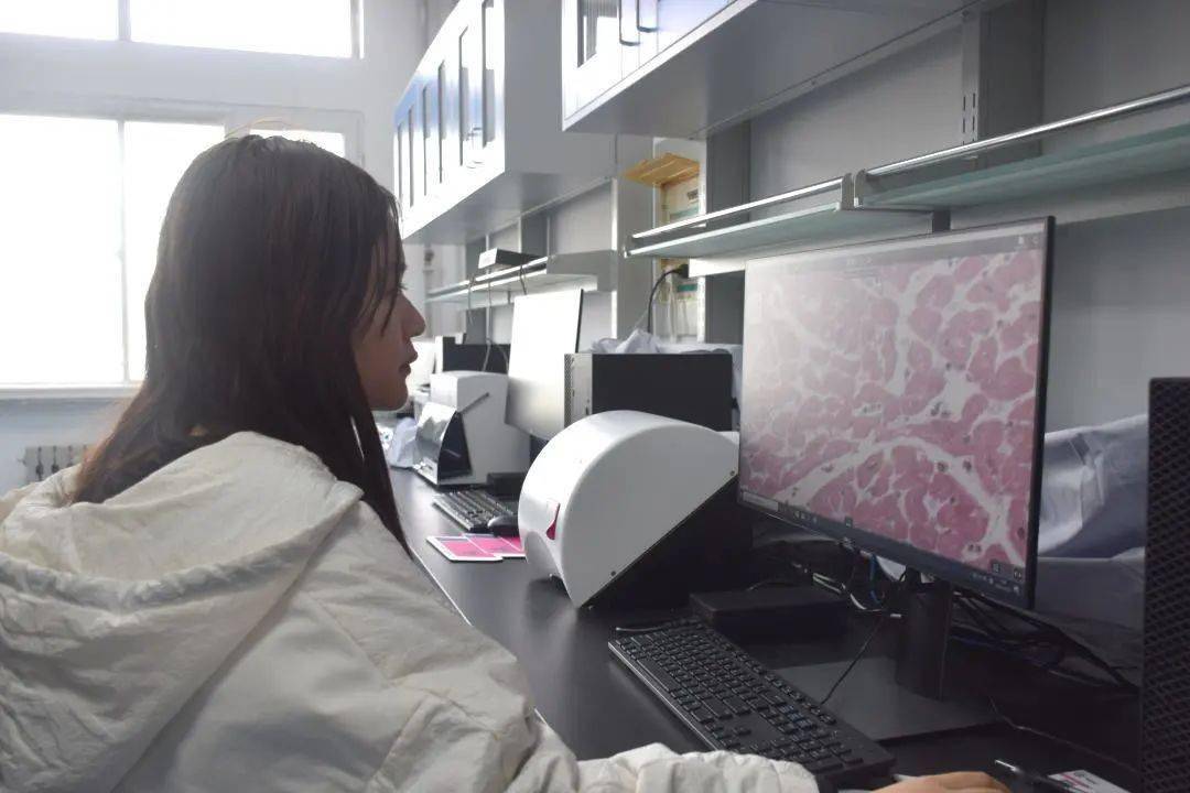 观摩学习第一临床学院邀请社团指导教师为学生开设了病理学常用技术理论