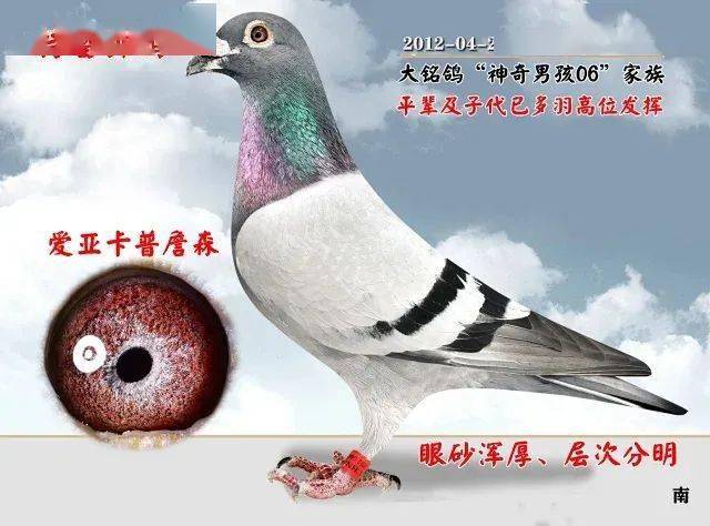 02de577d5c494f83a8a8077cfe9f9546.jpeg
