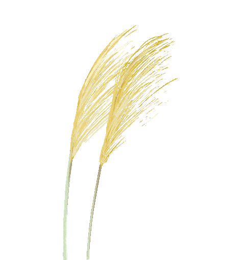 快来拼!专属你的