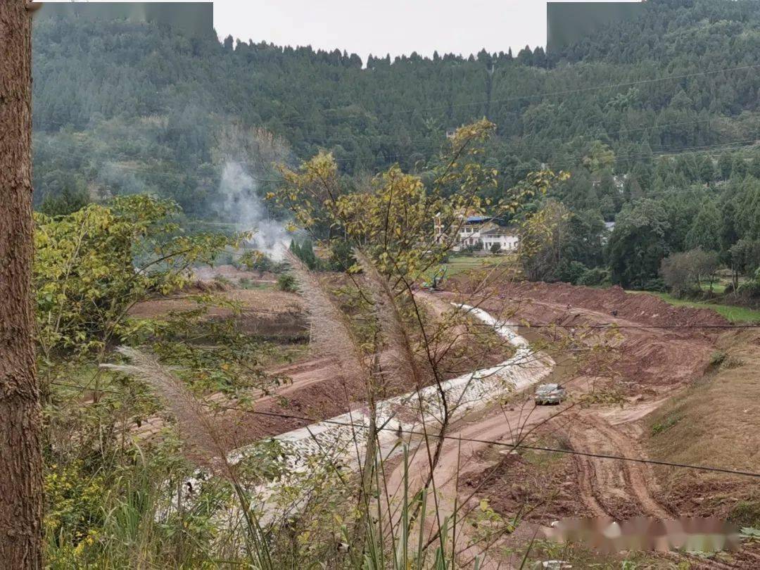 南部大桥镇焚烧现场秸秆回收问题,南部斥巨资修建相关秸秆发电工程,而