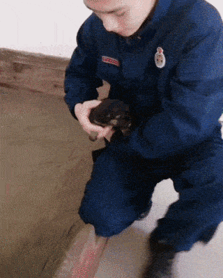 320_399 竖版 竖屏