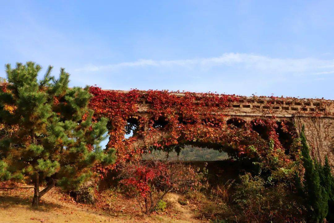 百福香园位于城阳区惜福镇街道铁骑山路.