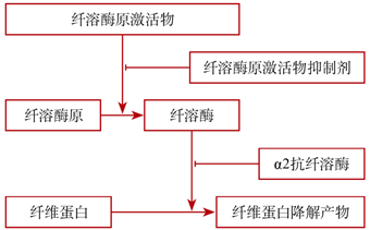 67缺血性卒中静脉溶栓药物的发展和展望