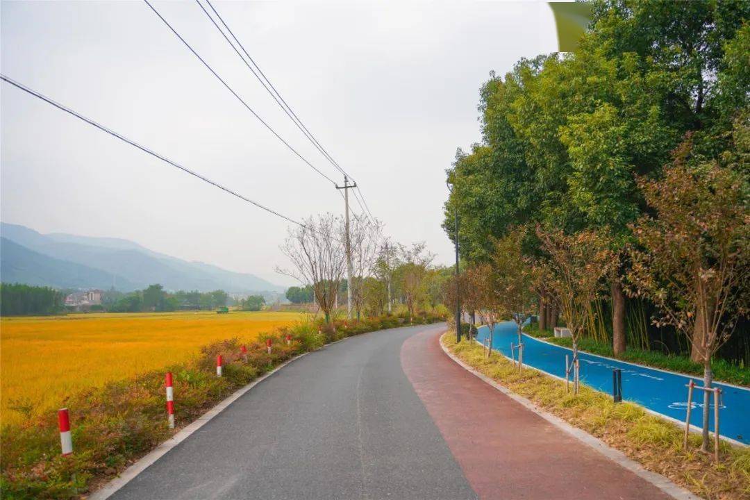 风起,沙沙作响, 周末,行至径山潘板桥村, 沿着双溪绿道来一场晨跑