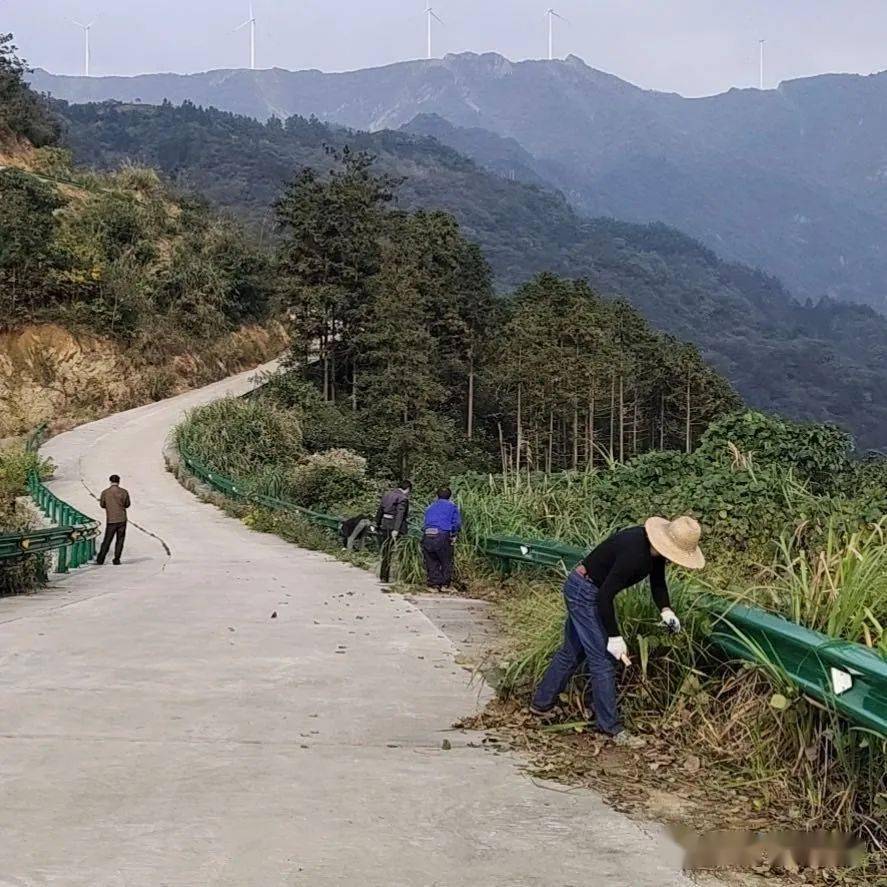 庐镇乡:割除杂草保安全 齐心协力护家园