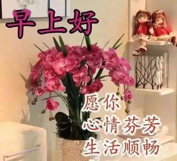 特别漂亮的早安动态美图带字 微信美女问候早安图片大全