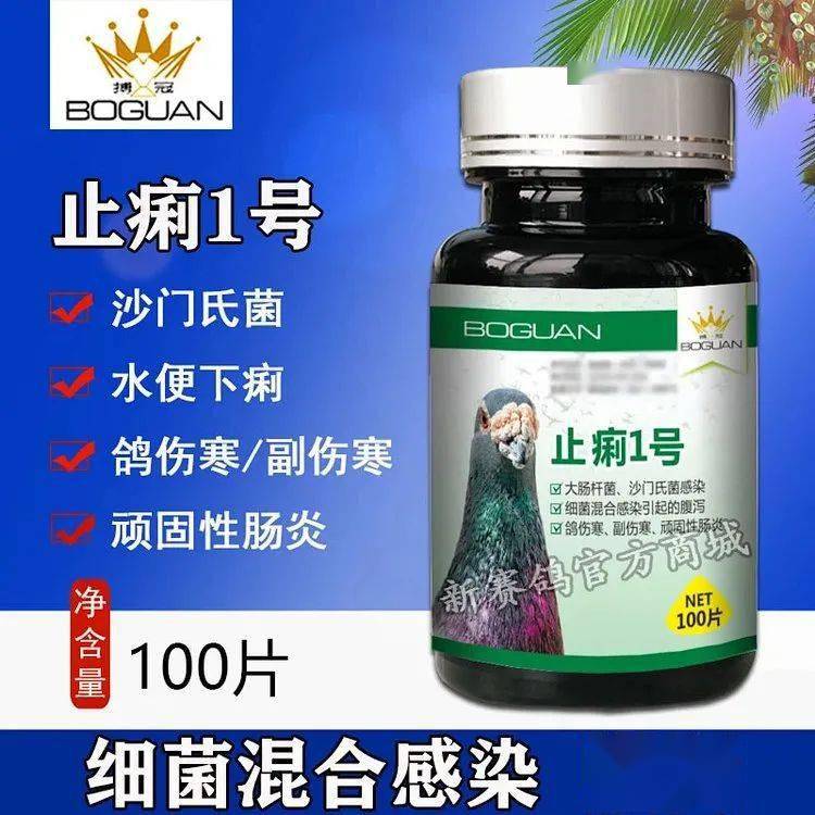 鸽子水便下痢沙门氏副伤寒大肠杆菌用它就好