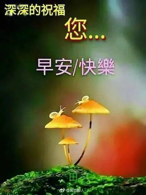 微信群发温馨的早上好问候短信朋友圈早安祝福语图片大全