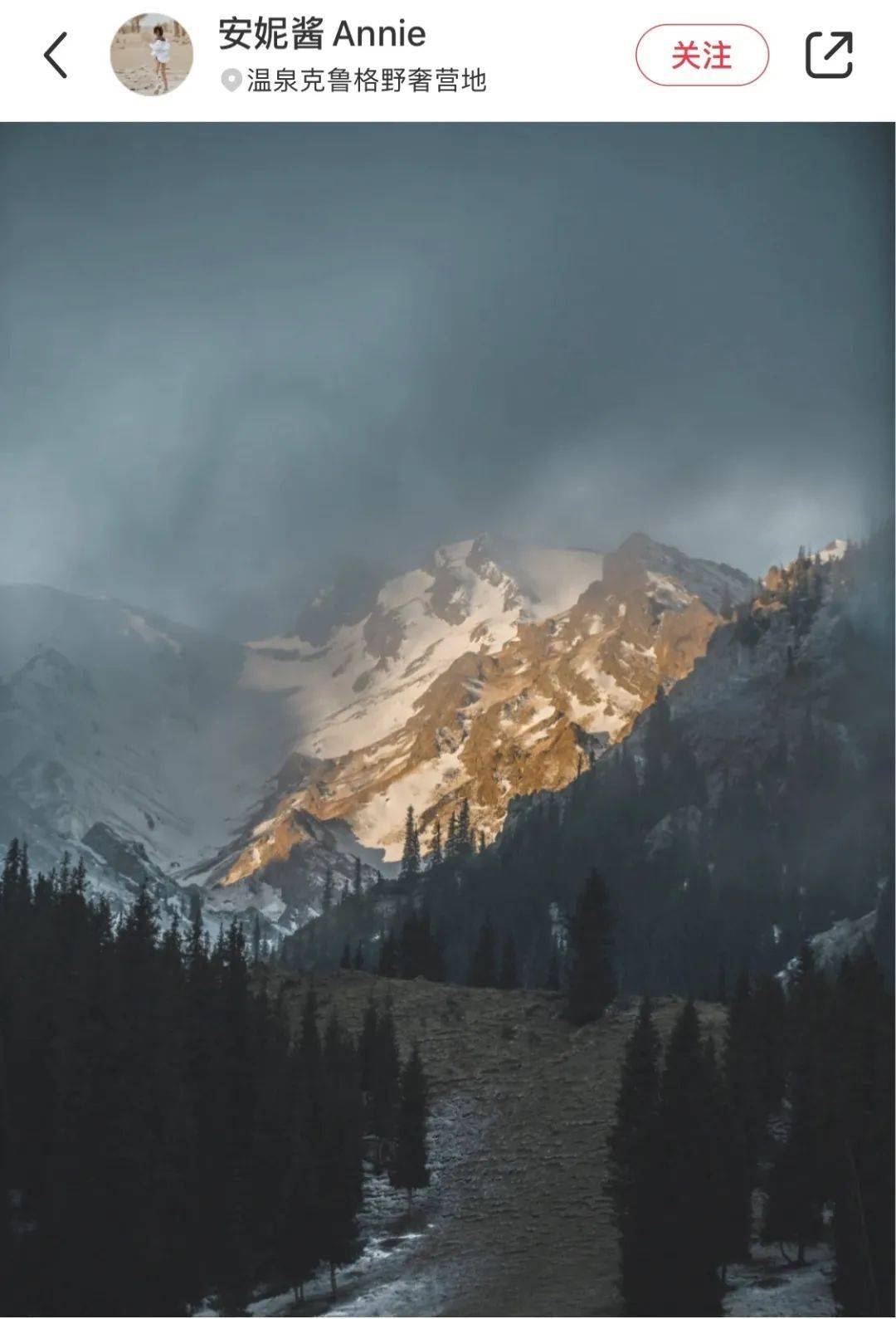 植物|熬夜新救星｜分享我最近的生活和近期在用的肌肤“吃素”法！